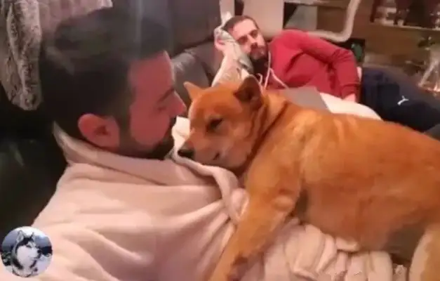 As soon as the master came home from work, the dog turned into a ointment