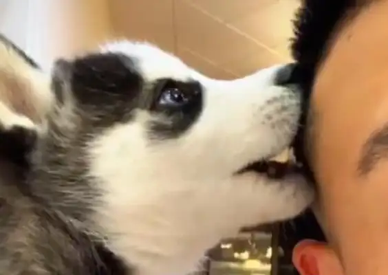 He took a photo with his master