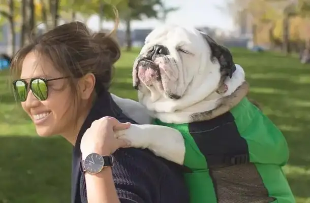 There's a feeling that the best people who have pet dogs understand