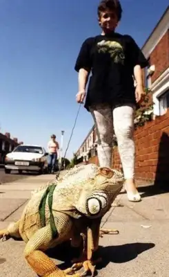 I've seen a dog walk a cat. A walker? A lizard