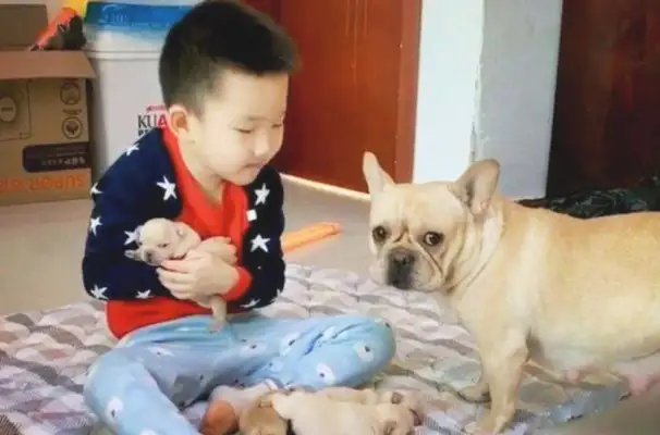 Sons of bitches and bear kids fight. Parents are cool