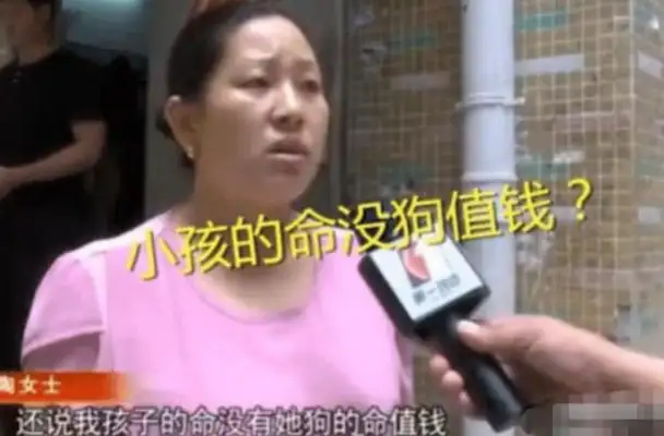A 6-year-old boy was bitten by a dog and demanded 20,000 from the dog owner