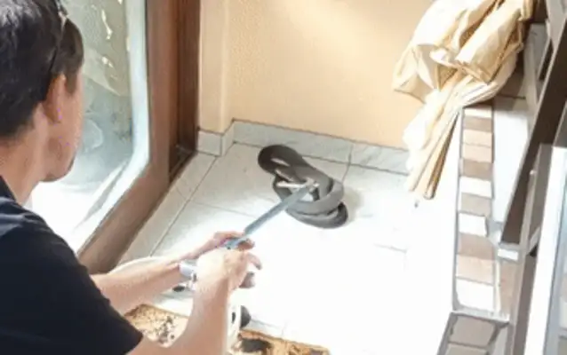 The dog barked at the couch and kept his master away. Snake
