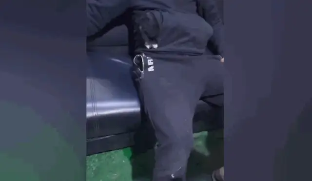 The little black dog, afraid of cold, drilled into the master's pocket, dog: warm..