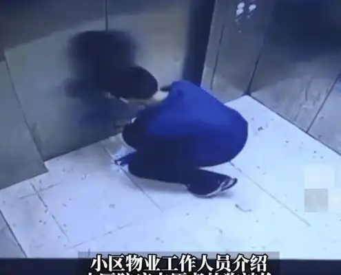 The boy used the elevator to hang his pet dog, and the parents blamed the monster industry for the video