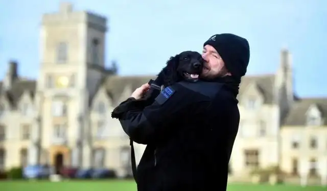 A year ago it was abused by the former master, and a year later the new master raised it to become a police dog