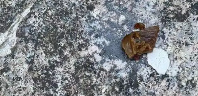 Guizhou pet dogs are poisoned, their owners cry, and the poison is punishable by death