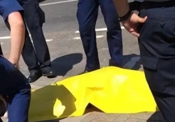 The dog was taken out in the heat of the day, and the owner didn't know about the heat