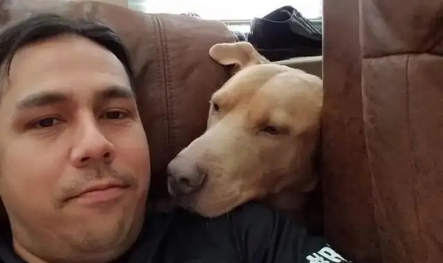 A pet dog from abroad who wandered 1,300 miles and spent five years finding his owner
