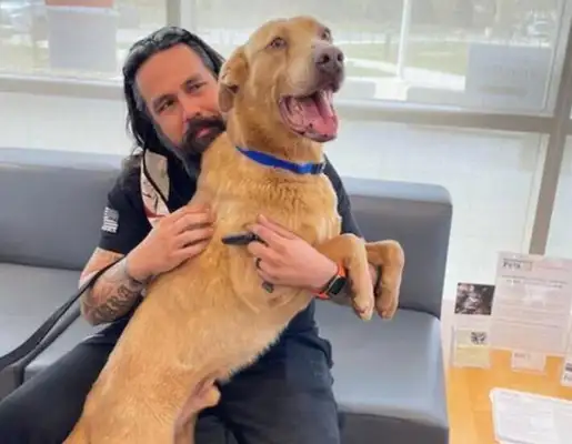 A pet dog from abroad who wandered 1,300 miles and spent five years finding his owner