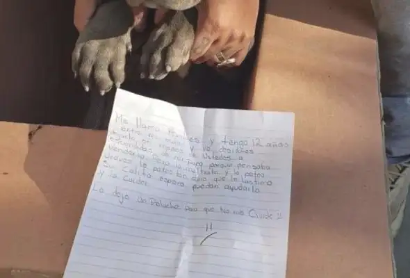 A 12-year-old boy abandons a puppy, leaves a note with a heart attack, and it's hard to get behind him