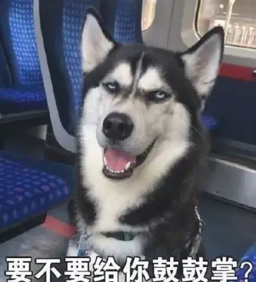 Two-year-old Hastych signed up for a job interview and accidentally turned into a military dog, and three months later it was tragic