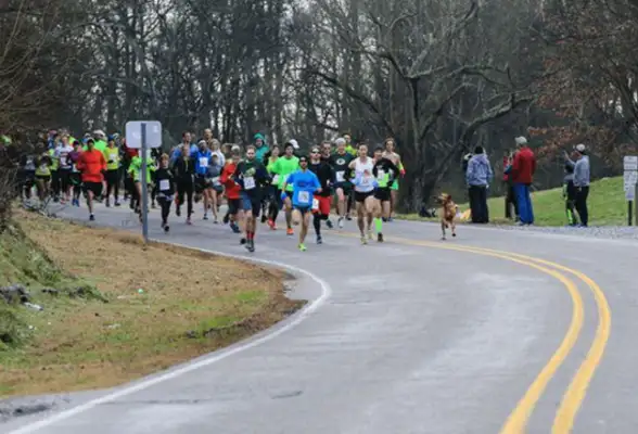 The dog had unexpectedly signed up for the marathon, gained seventh place with ease and provoked the host