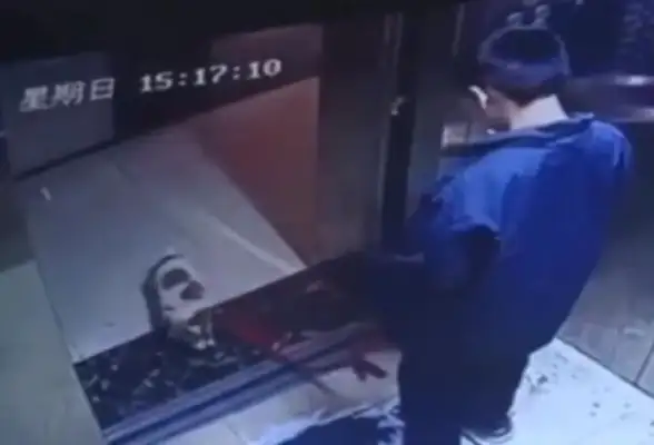 After the boy stole the pet dog and killed him in the elevator, the details came to light, and the parents got into trouble. Anger
