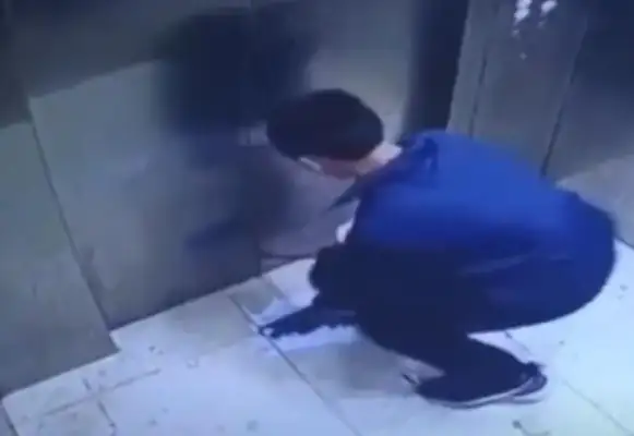 After the boy stole the pet dog and killed him in the elevator, the details came to light, and the parents got into trouble. Anger