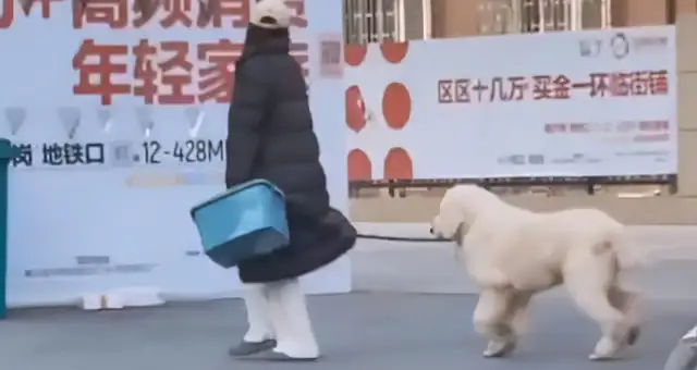 Henan's dog and his master were angry and couldn't get home at the door