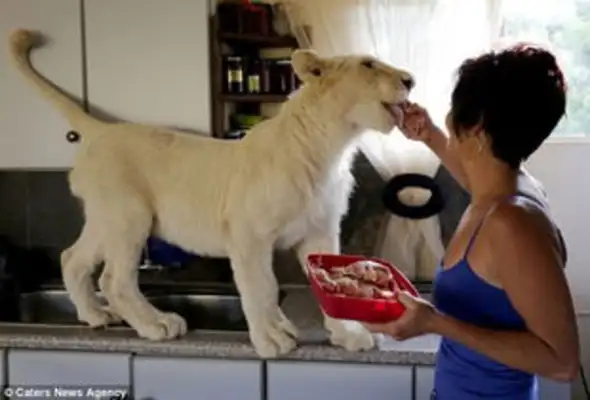 What healthy pets do women have, what do women have? Okay