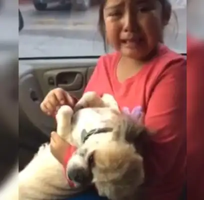 The little girl wept with the perfect dog: it was bald and it really looked like a pig