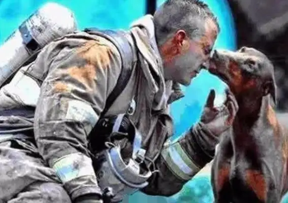 Firefighters fire the dogs, and the dogs act like they're tearing people apart