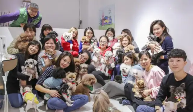 The dog kindergarten, which provides day-care services, has a great Christmas party