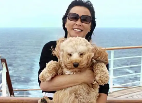 The owner of the dog travels with a pet dog around the world