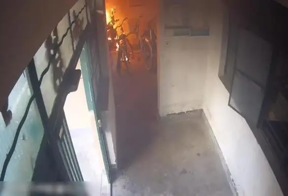 The dog excreted at will, and the 62-year-old aunt purified it with a neighbor's bike suit