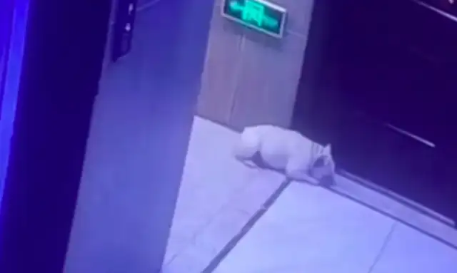 The master comes in and closes the door. He didn't scream. He waited hours at the door