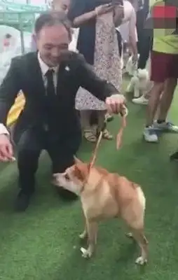 Dwarves have no neck, they're at the pet show, they're on the spot