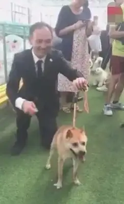 Dwarves have no neck, they're at the pet show, they're on the spot