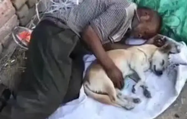 The dog is with the master, he's always on his way