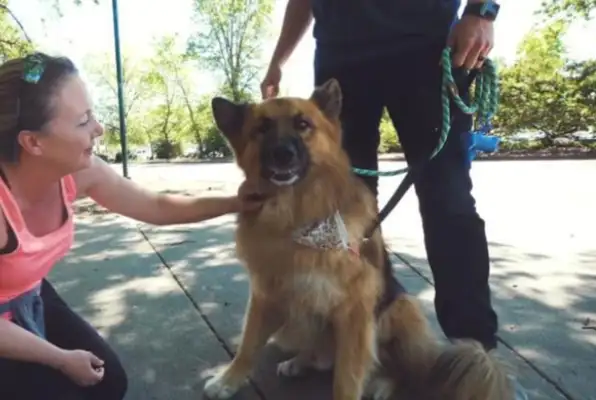 The dog was locked up in the backyard for years, the first time he saw the sea