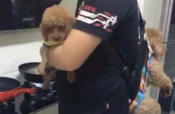 Men love dogs so much, they're all neighbors, they've seen controversy