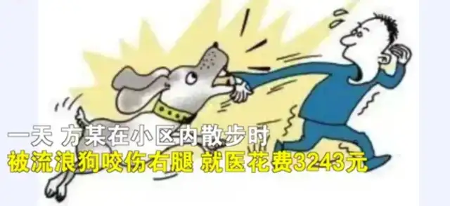 Shuxian, one of the citizens was accidentally bitten by a stray dog while walking in the neighborhood. Legs