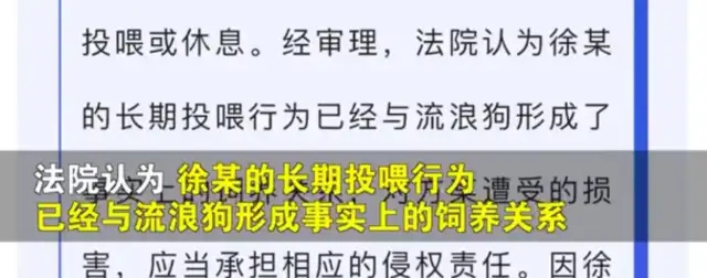 Shuxian, one of the citizens was accidentally bitten by a stray dog while walking in the neighborhood. Legs