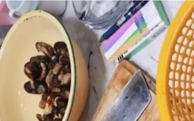 Why would wild mushrooms be hallucinating when Yunnan's dog eats wild mountain bacteria and bites the air at home