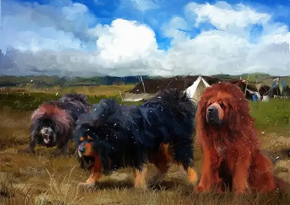 30 million Tibetans turned into stray dogs and were shipped to the Guangxi dog shop