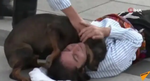 The actor fell down, but he couldn't forget the warmth of a stray dog