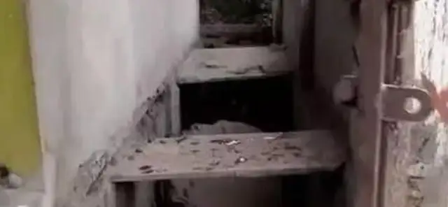 The stray dog was rescued from a blood-stained garbage dump and was sent back