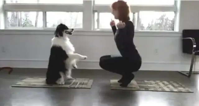 The dog and the hostess exercise their bodies, and it's not the dog that's synchronizing