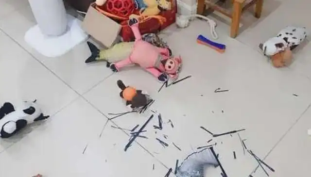 When the master comes home from work, the gills laugh at the door, but the master is not so happy