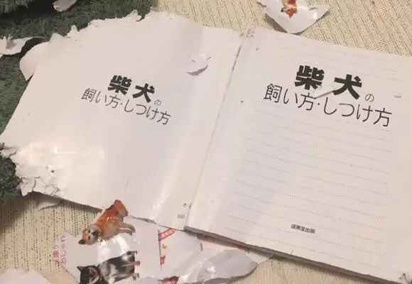 The netizens bought a book on how to raise a firewood dog, and it tore it up the next day