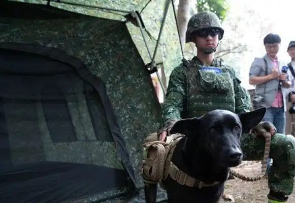 They'll be adopted back to the army from soft shrimp to brave dogs