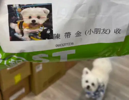 The deliveryman met a name he didn't see. The dog heard coming out right away