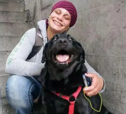 The dog took the bus out on his own, and it went red