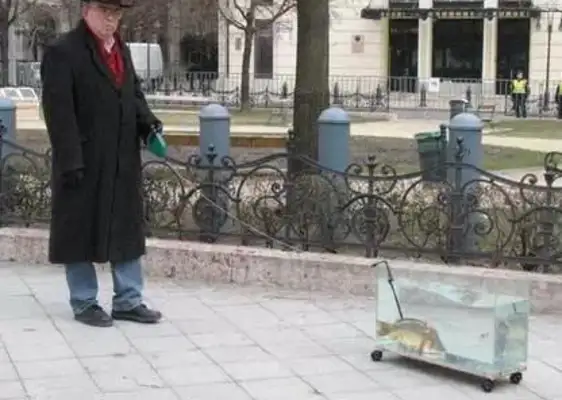 I've seen a dog walk a cat. A walker? A lizard