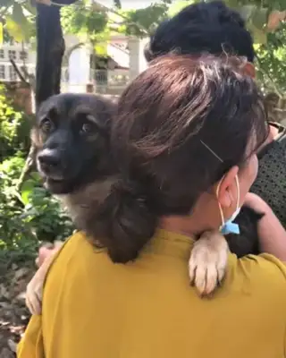 Looks familiar looking at the dog