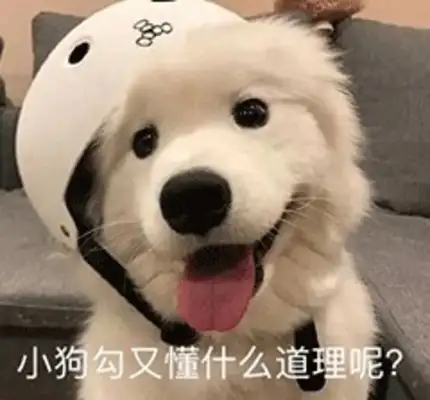 What's with the dog farts? It could be a gastrointestinal problem