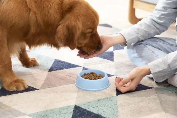 Vigilance. Feeding dogs or promoting the spread of antibiotic superbacterials. Super