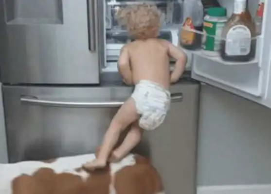 The young master went to the fridge to look for something, pulled the dog to be a stumbling block, and it happened with both feet