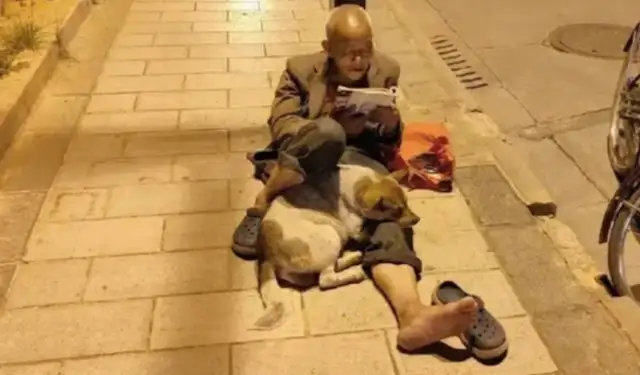 The old man reads under the roadlight, and he's got a puppy on his leg, a dog and a dog. Fan